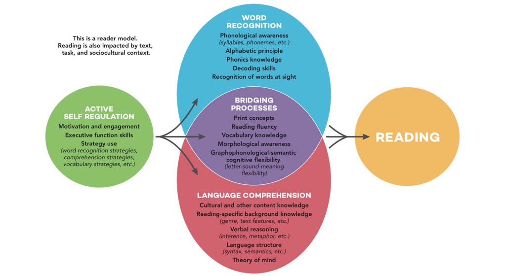 Reading Comprehension: Key&nbsp;Strategies